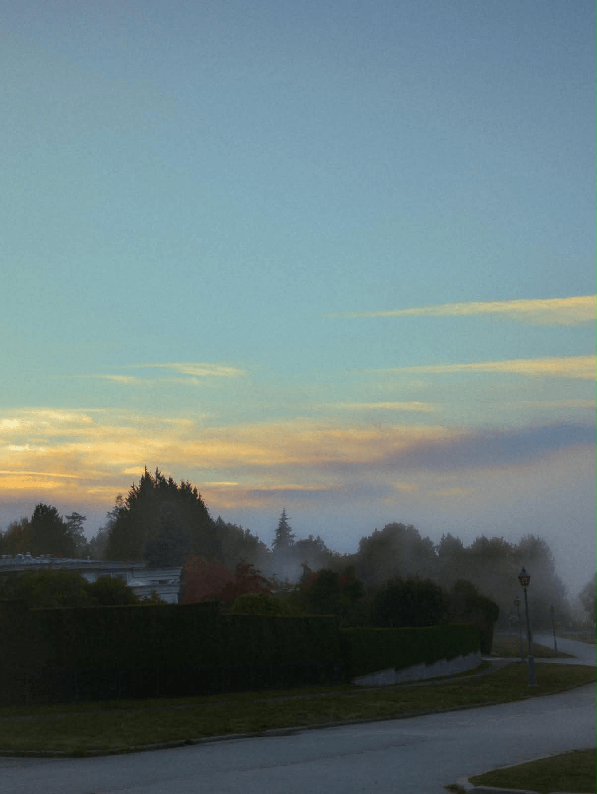 Golden clouds above a misty, tree-lined street.